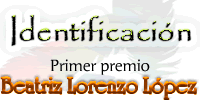 Beatriz Lorenzo López - Primer premio
